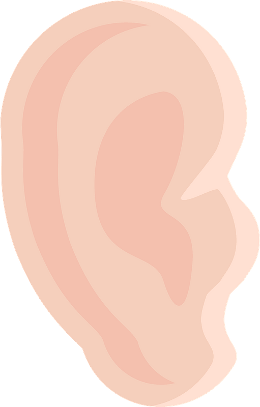 耳