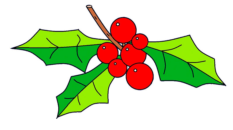 Christmas berries