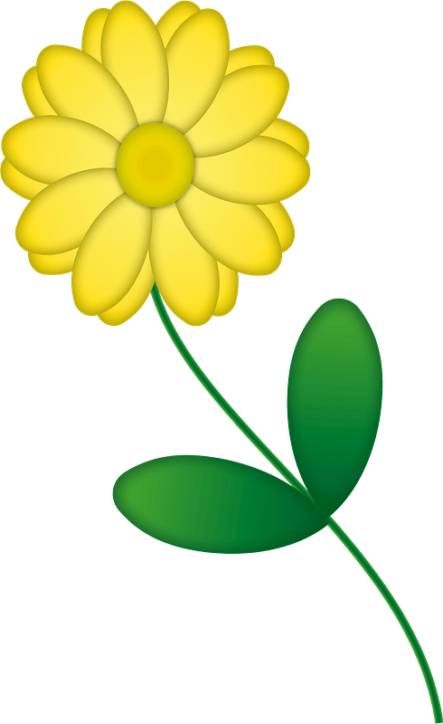 Yellow flower