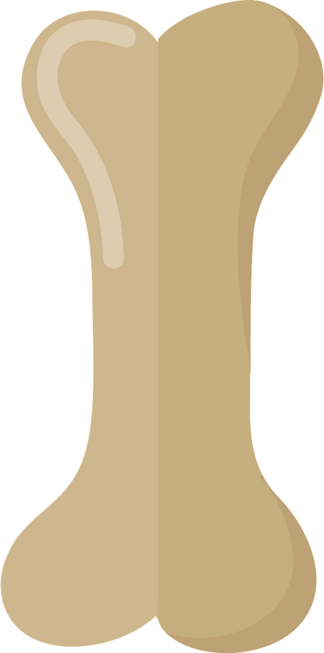 Bone