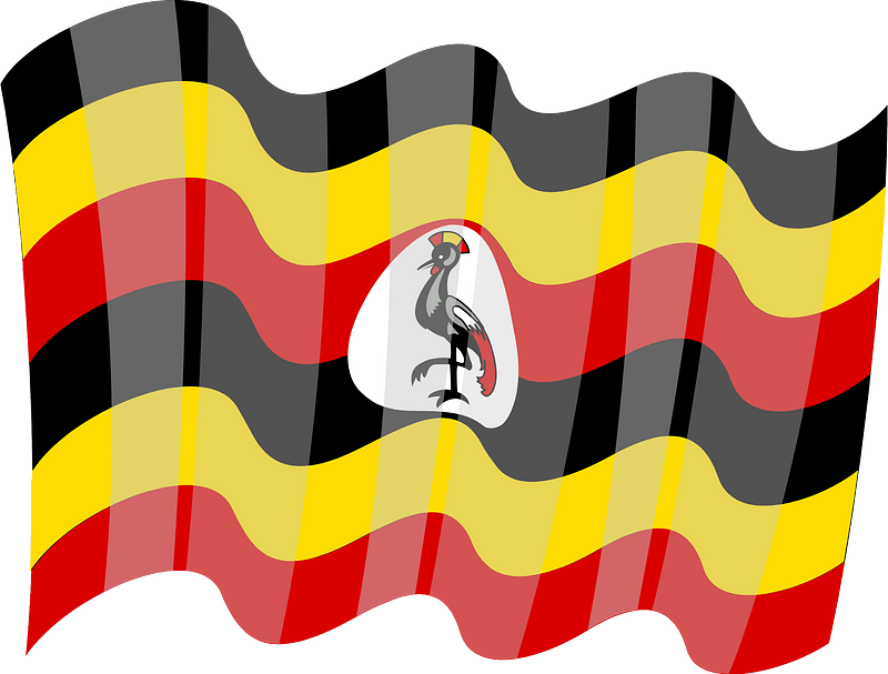 Flag of Uganda vector
