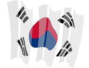 Flag of South Korea