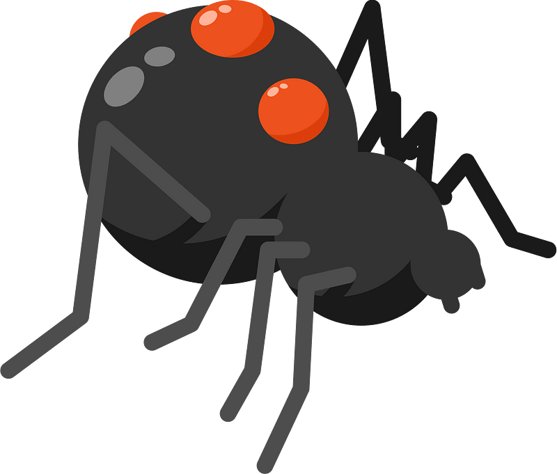Black widow spider