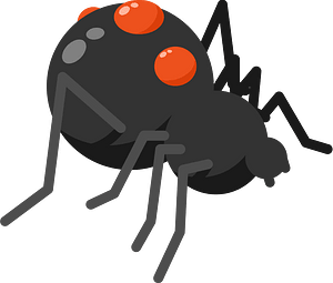 Black widow spider