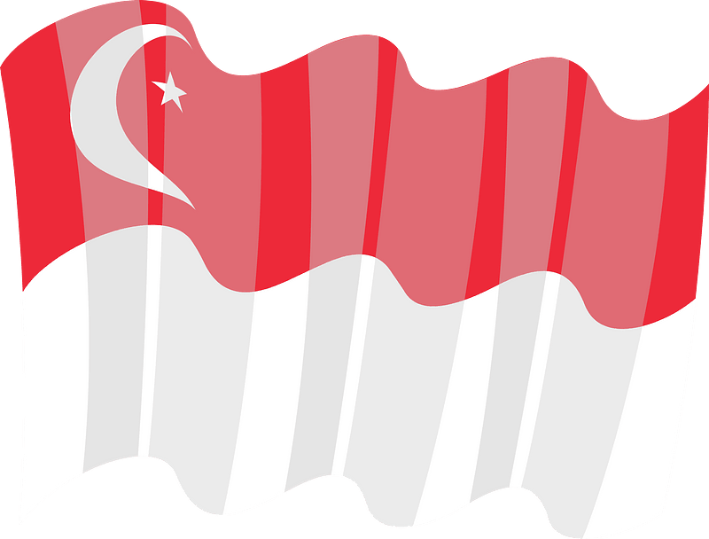 Flag of Singapore vector clip art