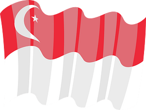Flag of Singapore vector clip art