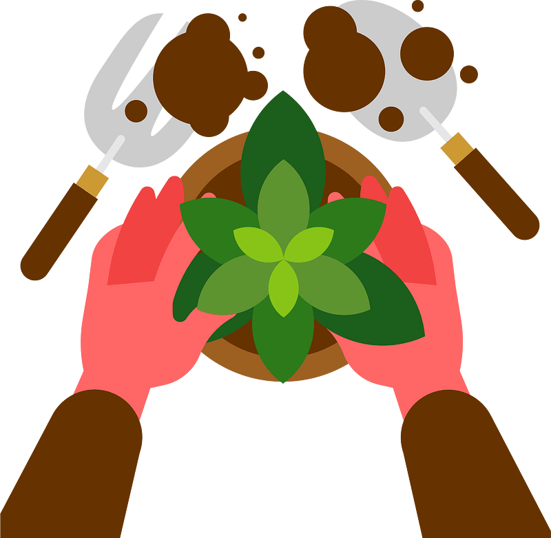 Planting a houseplant