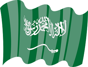 Flag of Saudi Arabia vector image