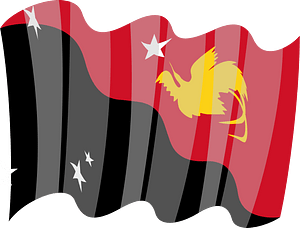 Flag of Papua New Guinea vector clip art