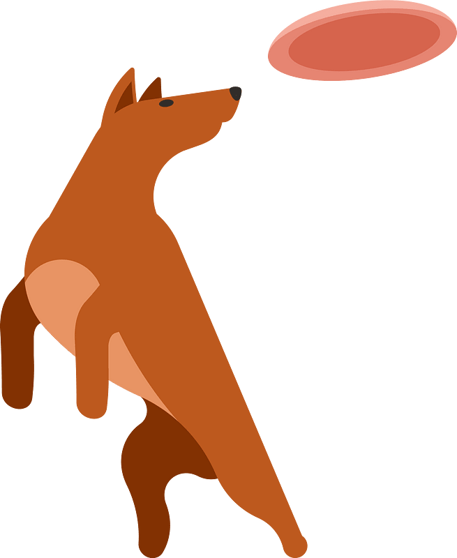 Dog catches a flying disc