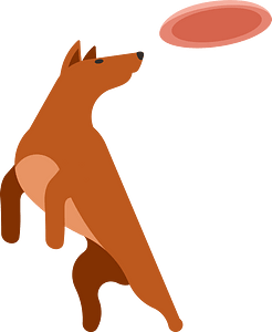 Dog catches a flying disc