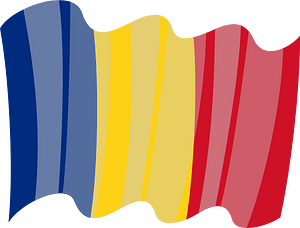 Flag of Romania vector image