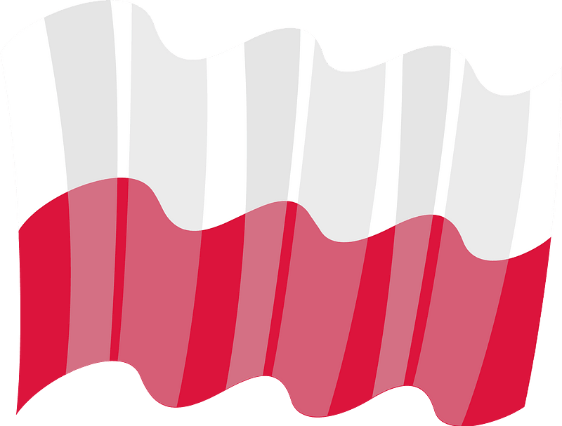 Flag of Poland vector image