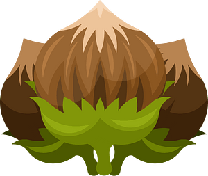Hazelnuts vector image