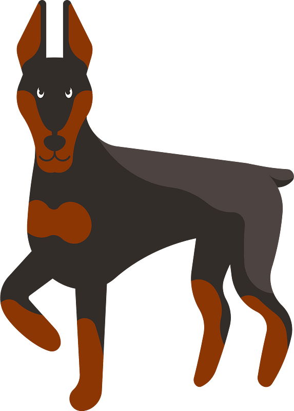 Dobermann Pinscher dog