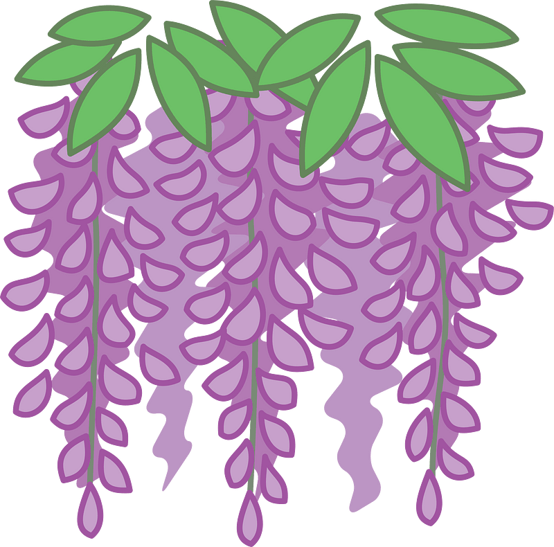 Wisteria Flower