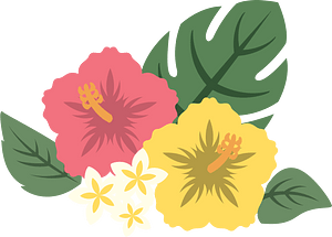 芙蓉花