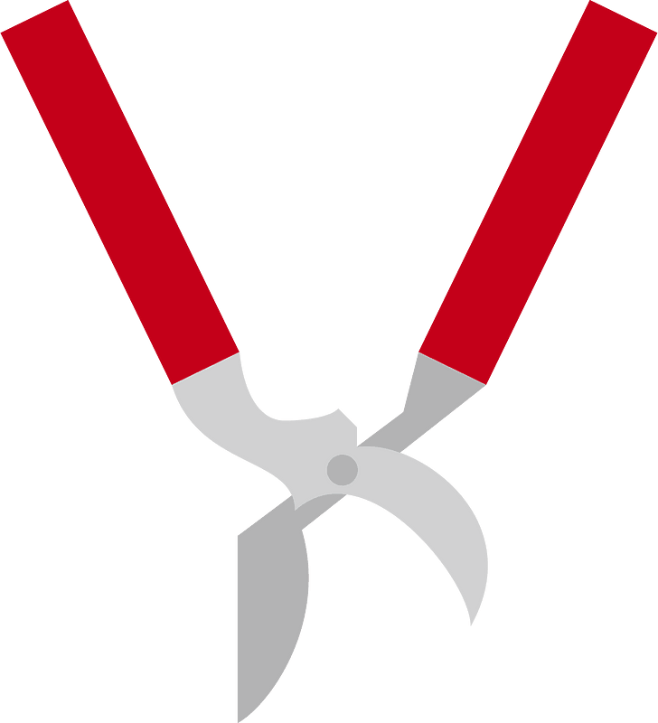 Pruning Scissors