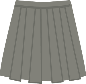 Pleated Skirt