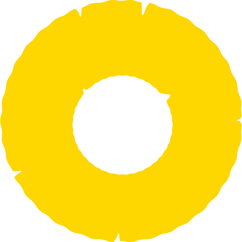 Pineapple Slice