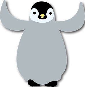 Emperor Penguin Chick