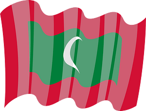The national flag of Maldives