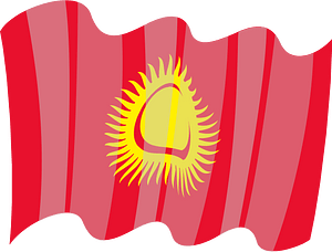 The national flag of Kyrgyzstan