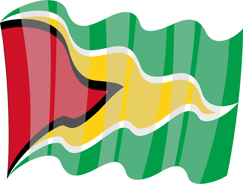 National flag of Guayana