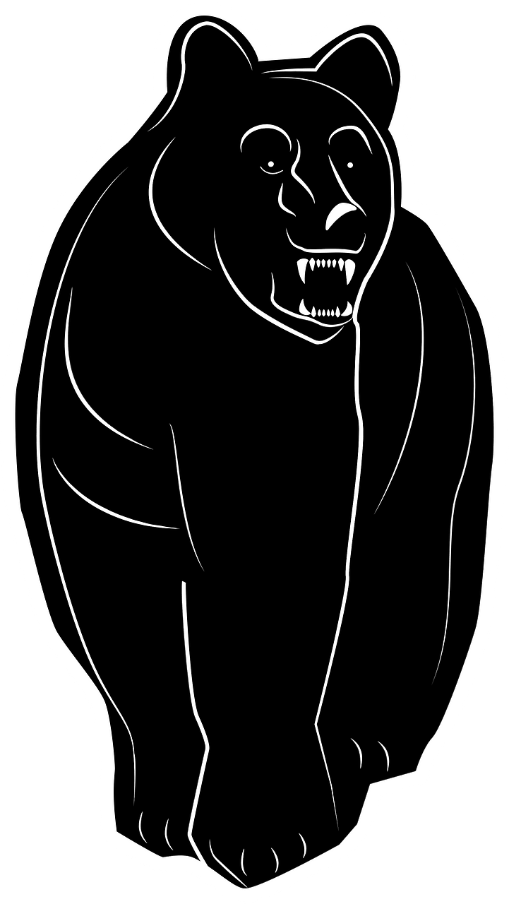 Black bear vector clip art