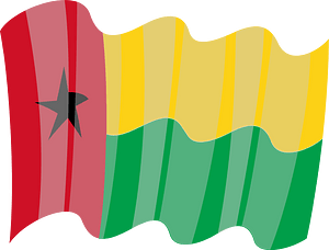 Guinea national flag