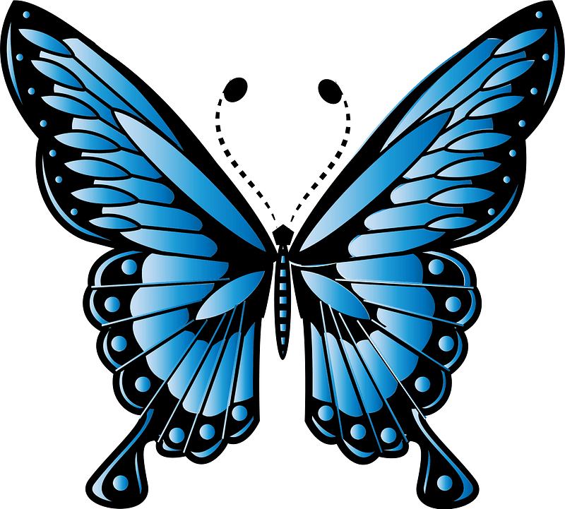 Butterfly blue wings