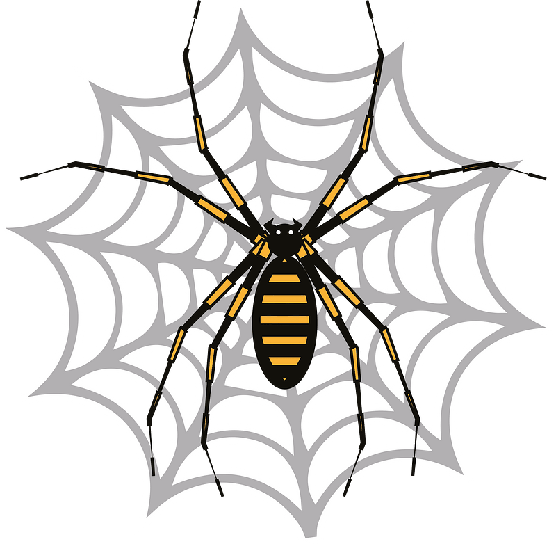 Spider web insect