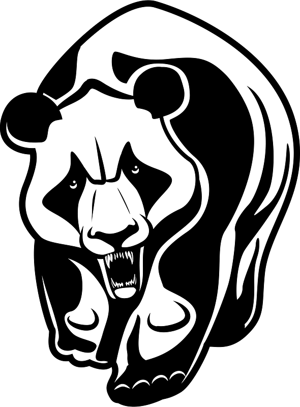 Angry panda bear