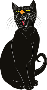 Black rabid cat