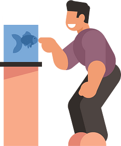 Man looking at the aquarium