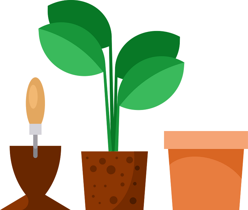 Replanting plants