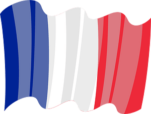 Waving flag of France