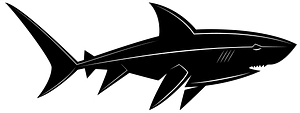 Shark silhouette on blue background