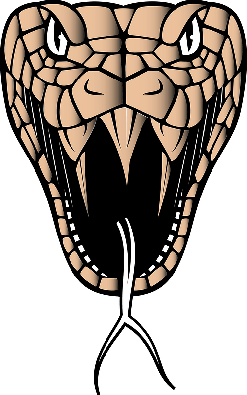 Cobra snake head
