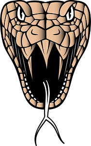 Cobra snake head