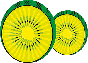 Kiwi fruit slice