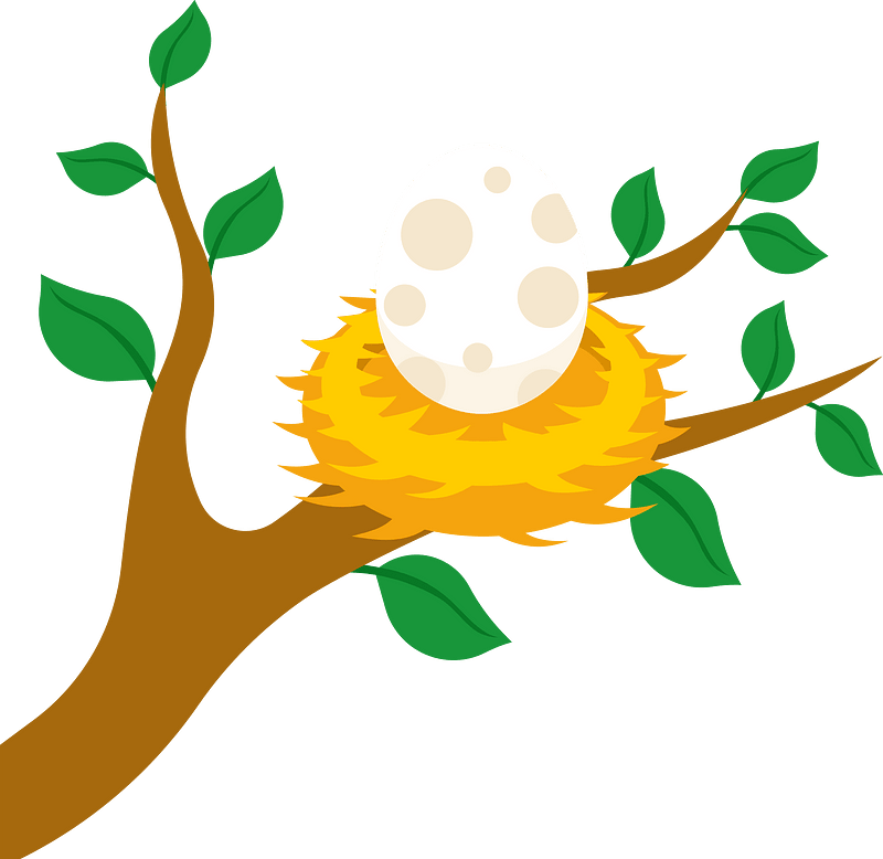 Egg in the nest