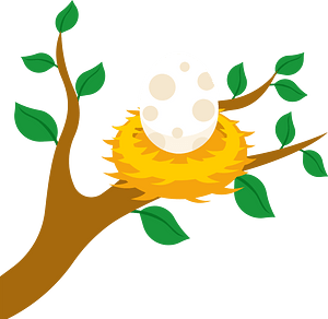 Egg in the nest