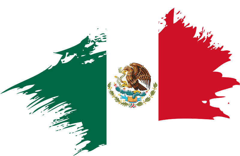 Mexican flag brushstroke