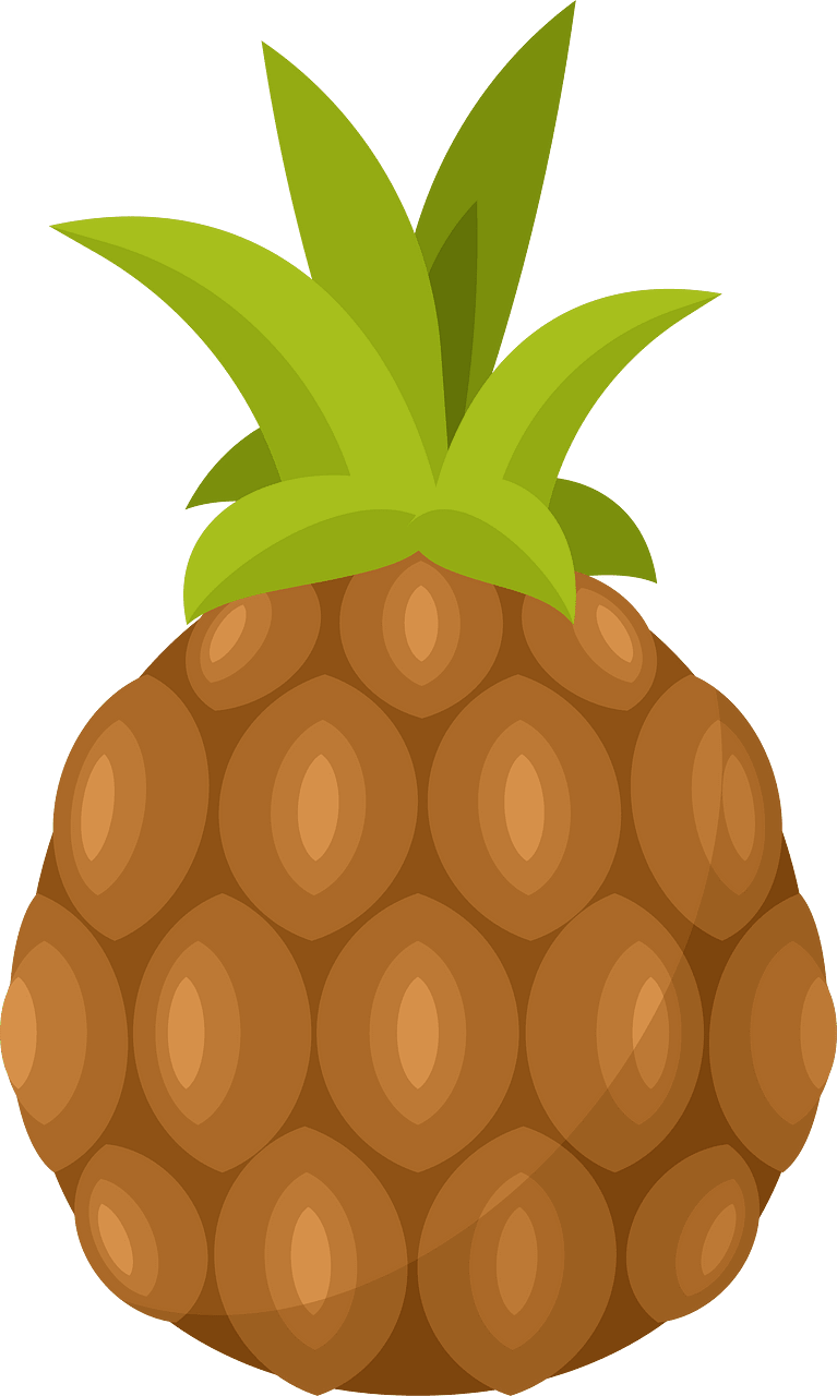 Pineapple fruit icon