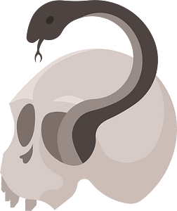 Snake in a skull