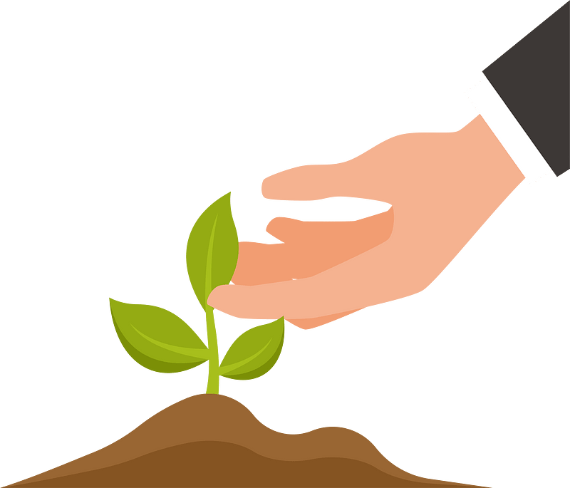 Sprouting plant