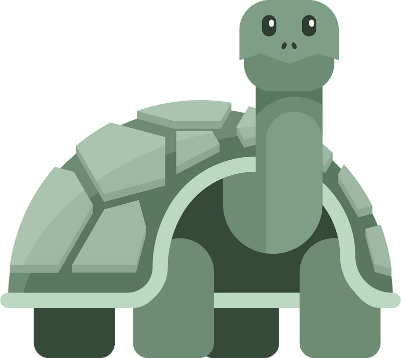 Turtle cartoon drawing