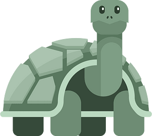 Turtle cartoon drawing