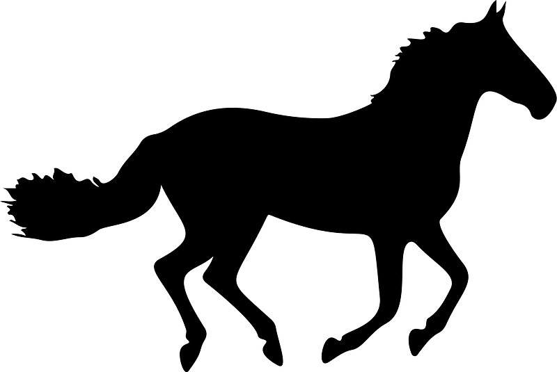 Silhouette of a horse